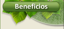 Beneficios en la salud