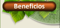 Beneficios en la salud