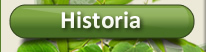 Historia