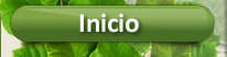 Inicio