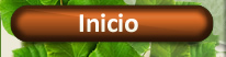 Inicio